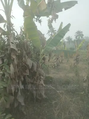 Photo - Half Plot of at Womai Estate Area Ajibode Ui Axis