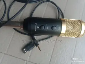 Pillar USB Powered Studio Condenser Microphone