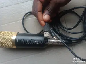 Pillar USB Powered Studio Condenser Microphone