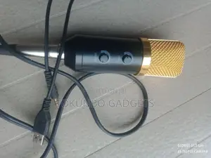 USB Powered Studio Condenser Microphone