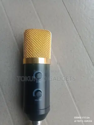 USB Powered Studio Condenser Microphone