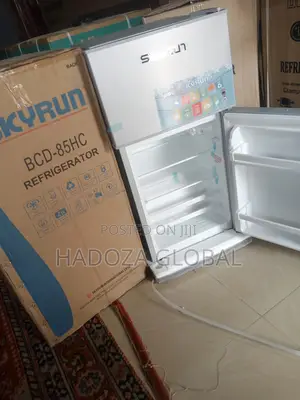 ECO FRIENDLY Skyrun Double Door Refrigerator (Bcd-85hc)