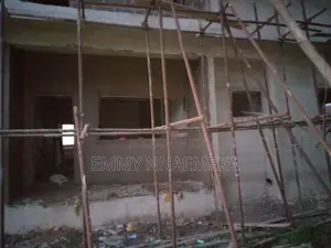 Plastering Expert