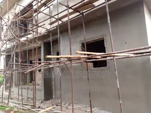 Plastering Expert