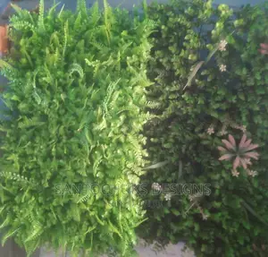 Wall Green Grass