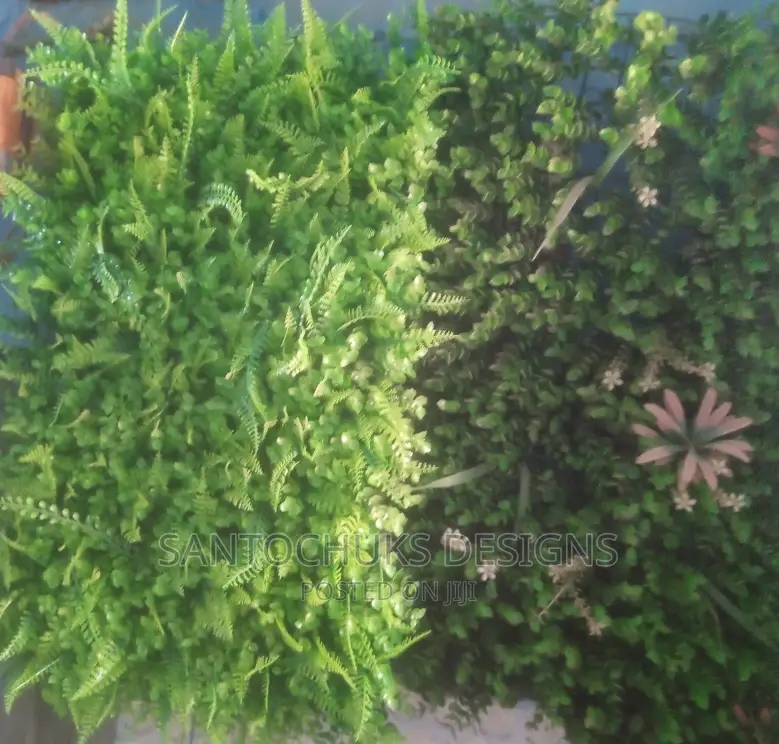 Wall Green Grass