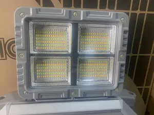 Solar LED Light