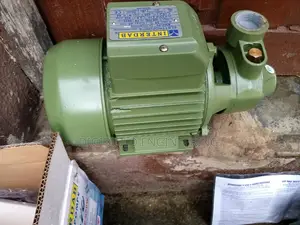 0.75hp Interdab Surface Pump
