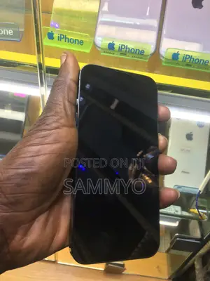 Apple iPhone 13 Pro 256 GB Gray