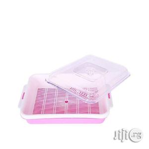 Multi Color Salad Container For Home And For Gift