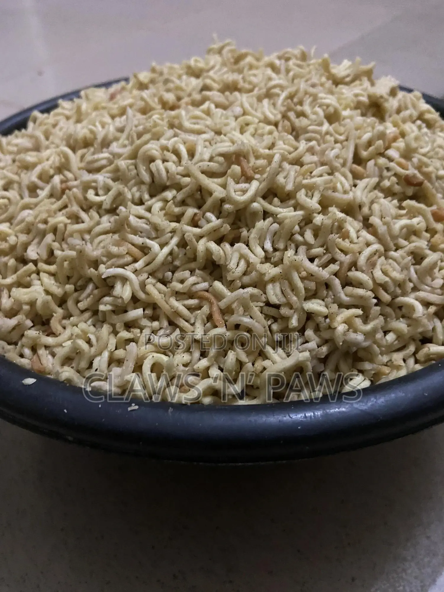 Dog Noodles