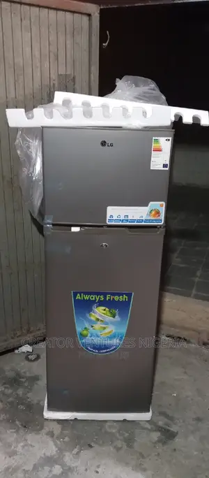 LG Double Door Refrigerator Fast Cooling,Low Voltage,Flower.