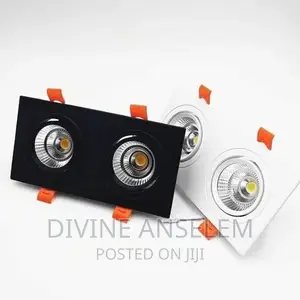 Double Spot Light With 3in1 Colours