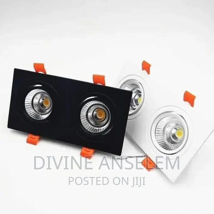 Double Spot Light With 3in1 Colours