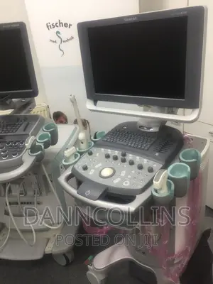 Siemens Acuson X300.