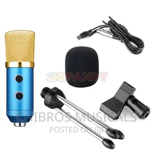 Iconstar Condenser USB Studio Microphone With Tripod Stand