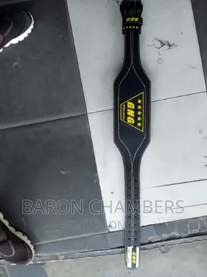 Padded Gym Belt