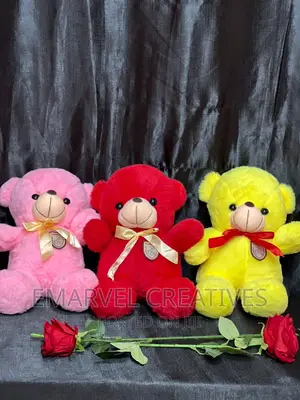 Teddy Bear for Valentines Gift (60cm)