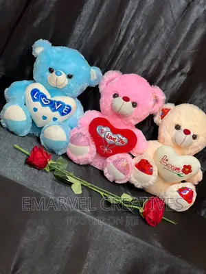 Teddy Bear for Valentines Gift (60cm)