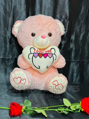 Teddy Bear for Valentines Gift (60cm)