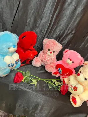 Teddy Bear for Valentines Gift (60cm)