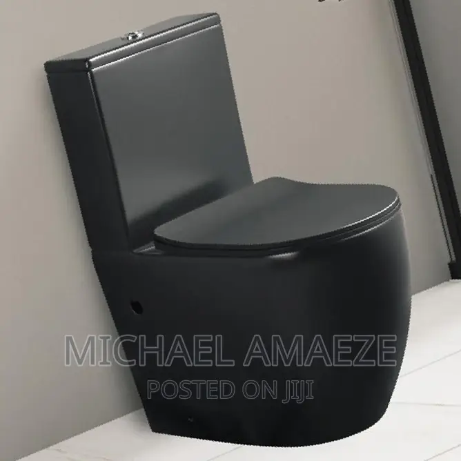 Executive Black Water Closet Complete Set