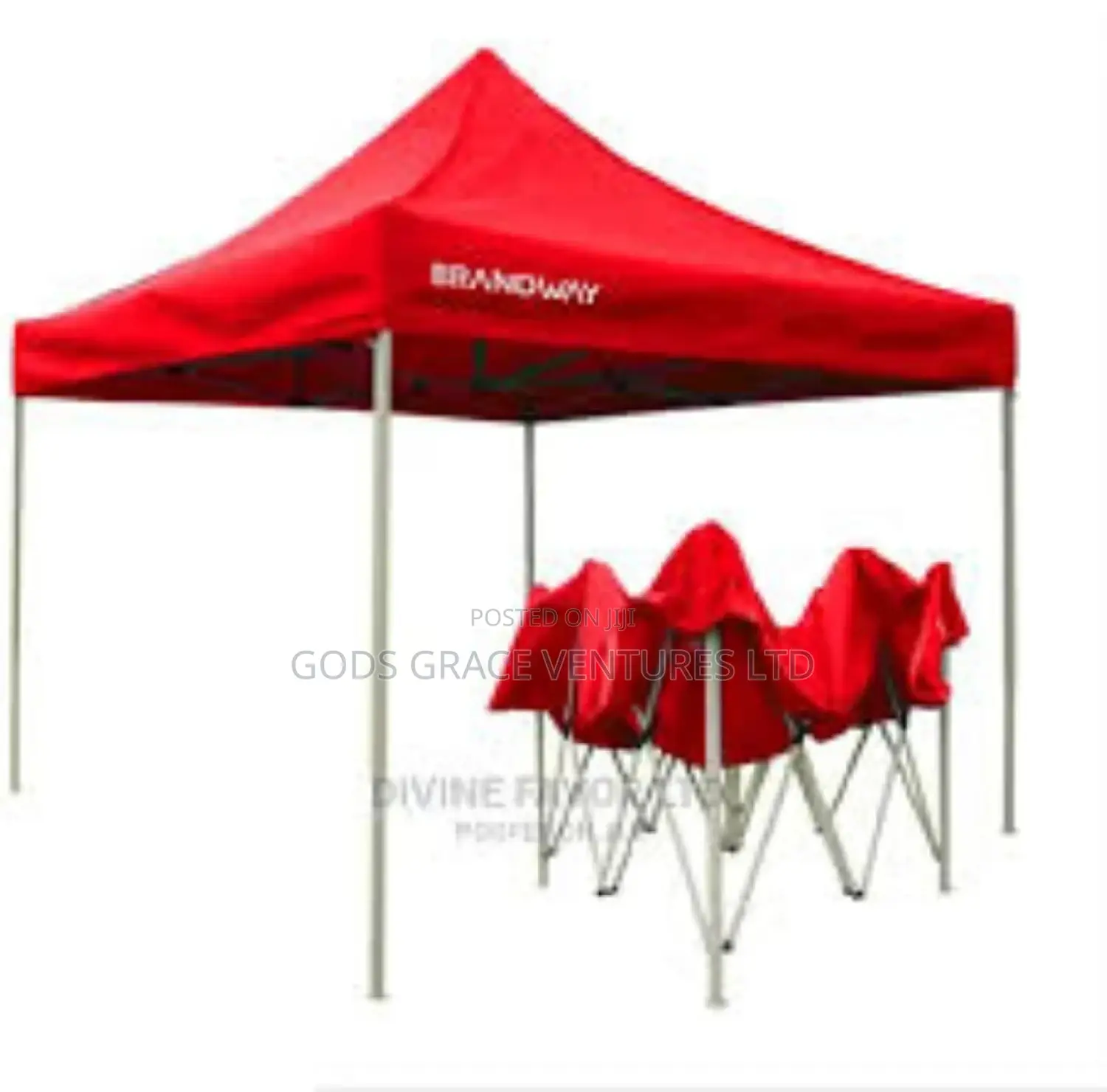 Foldable Canopy/ Gazebo 10ft X 10ft.