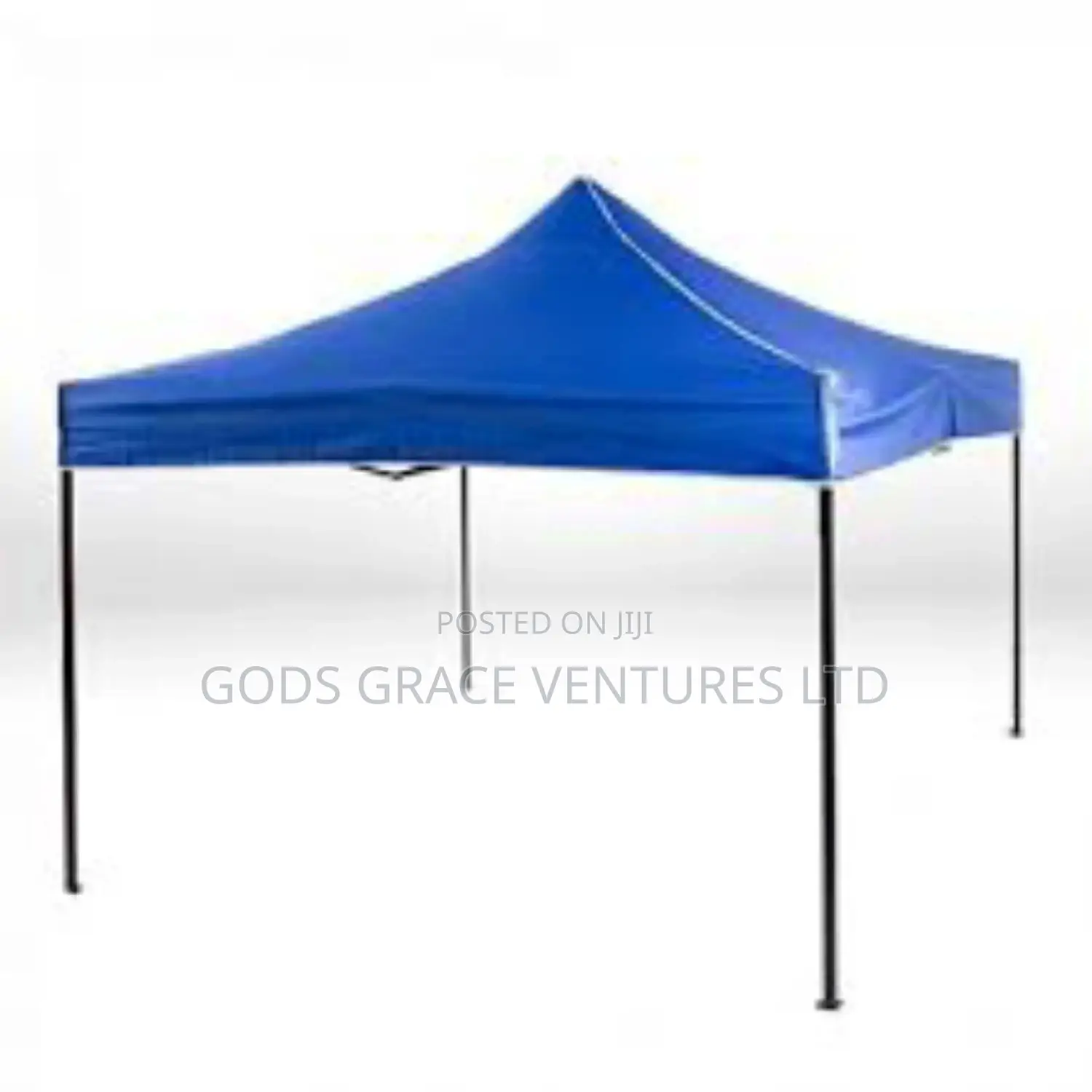 10 X 10 Foldable Canopy / Gazebo/ Tent.
