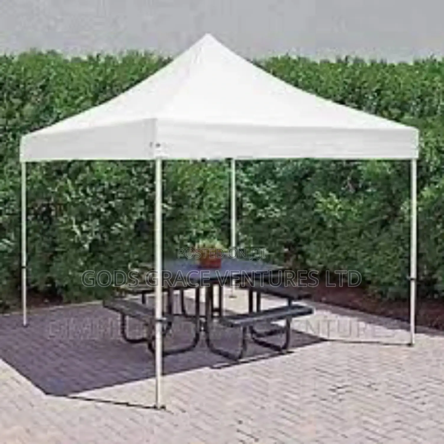 10 X 10 Foldable Canopy / Gazebo/ Tent.