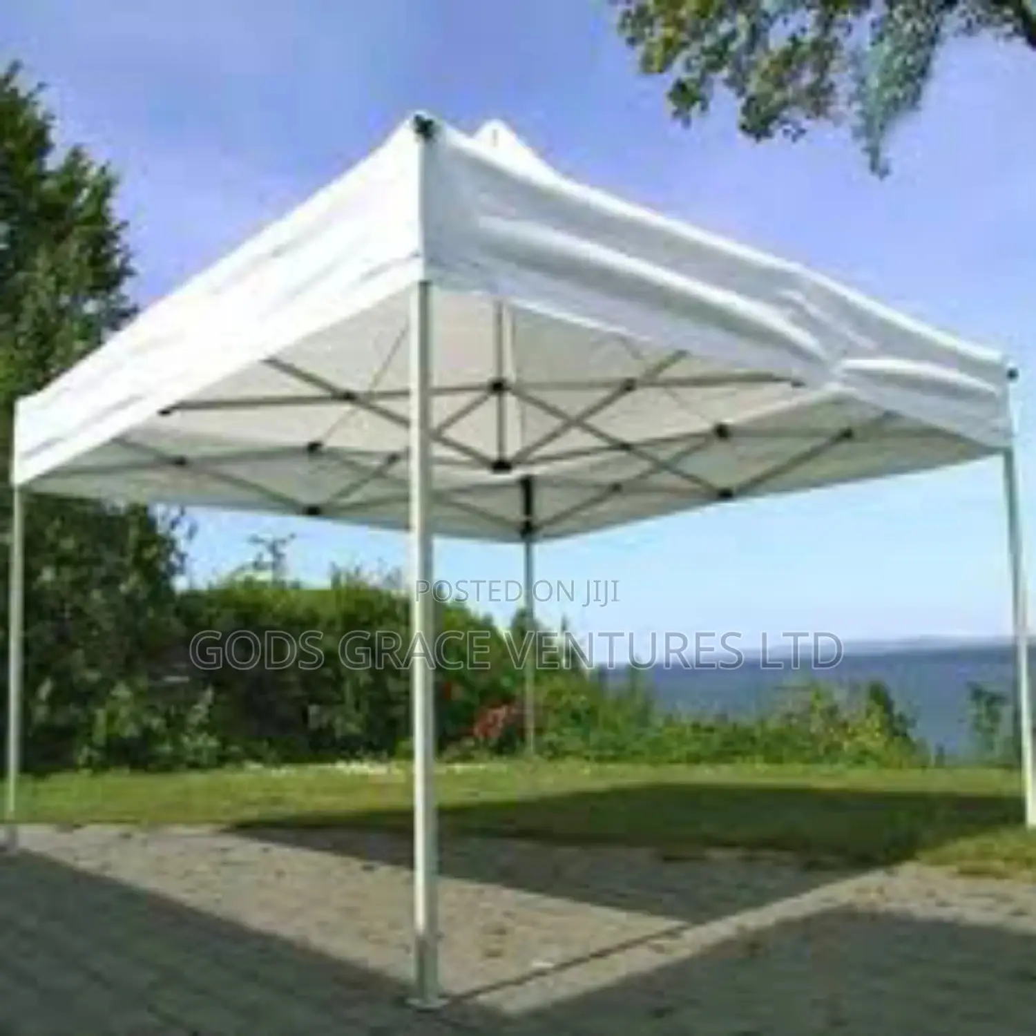 10 X 10 Foldable Canopy / Gazebo/ Tent.