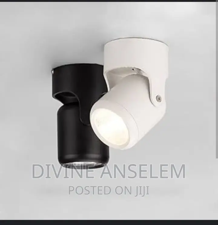 Ceiling Spot Light