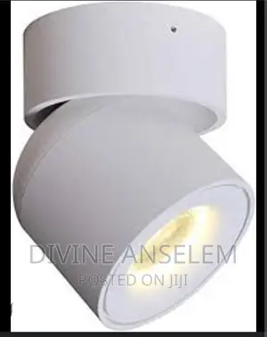 Ceiling Spot Light