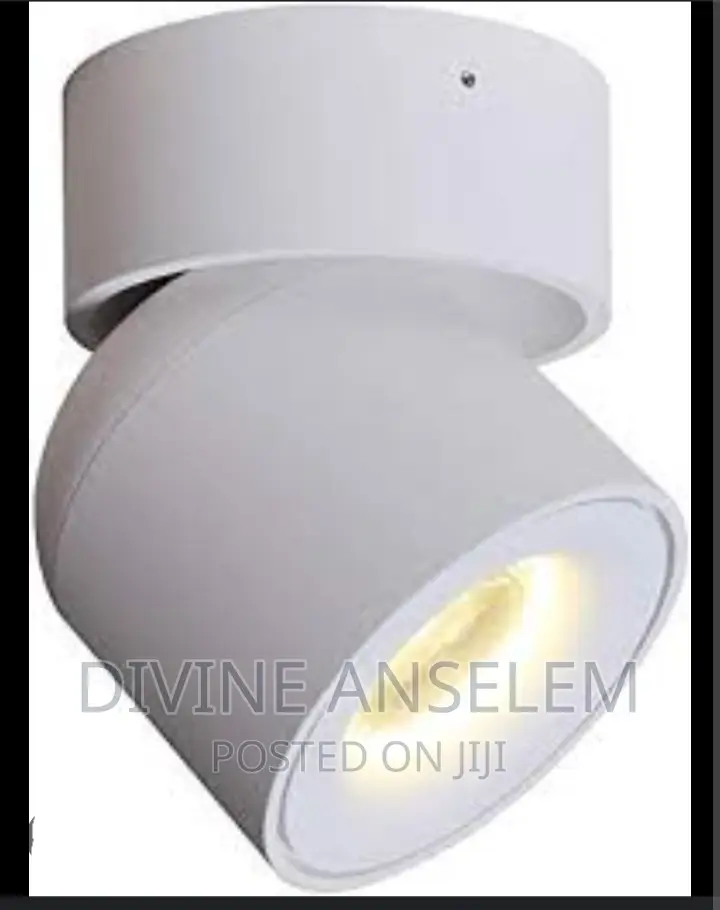 Ceiling Spot Light