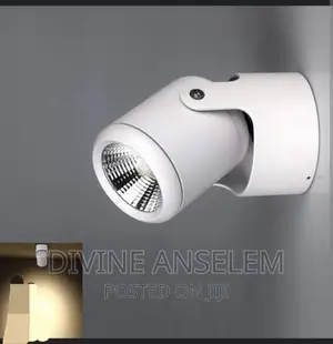 Ceiling Spot Light