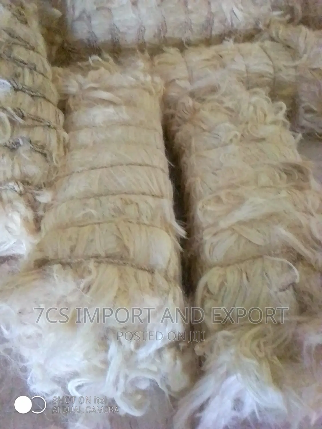 Fila Sponge