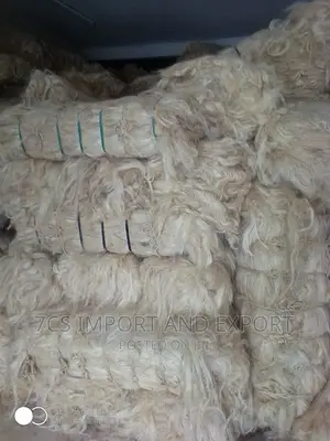 Fila Sponge
