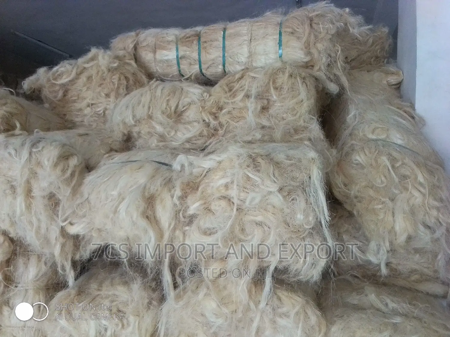 Fila Sponge