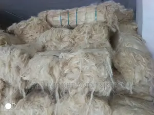 Fila Sponge