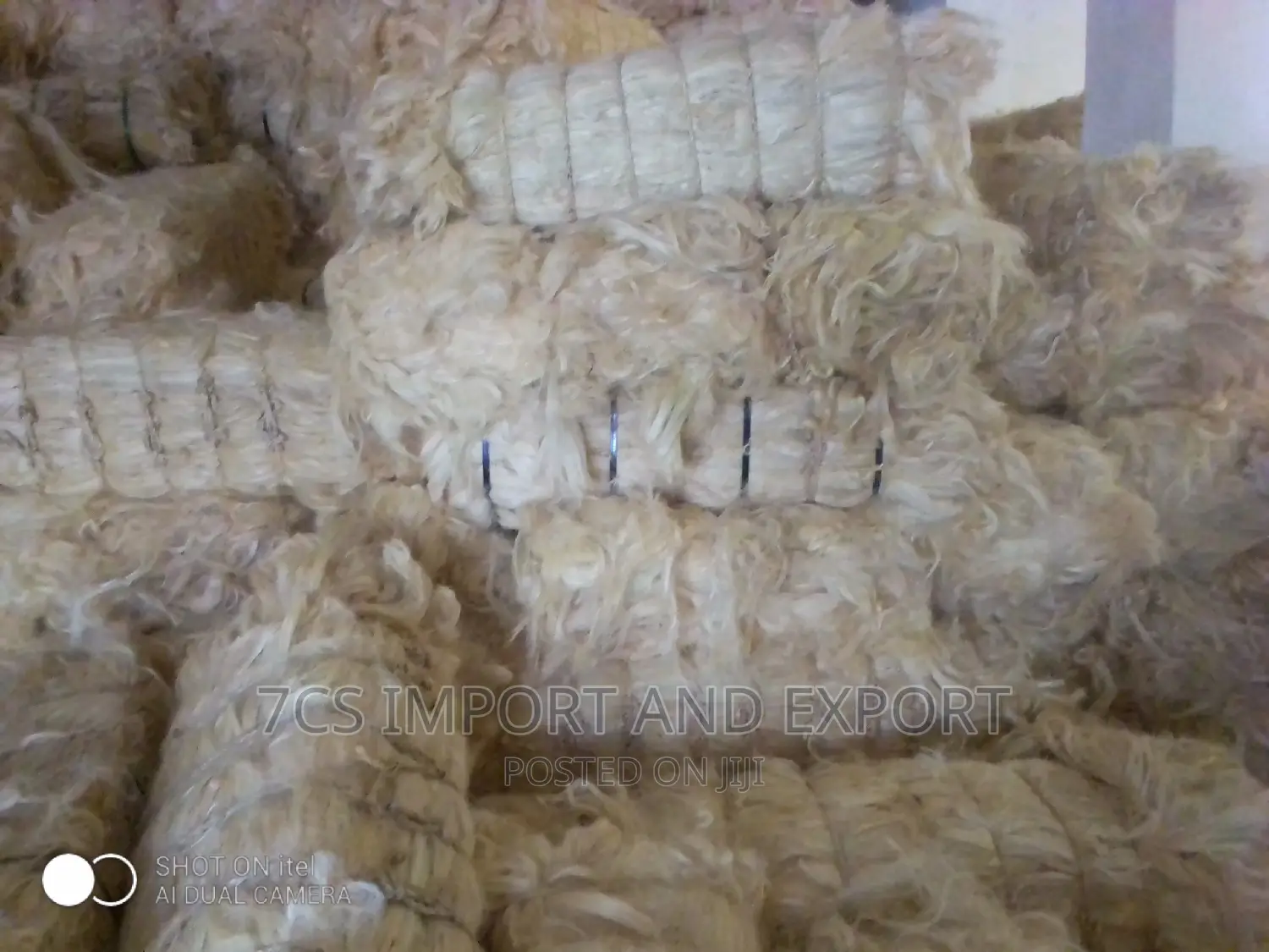 Fila Sponge