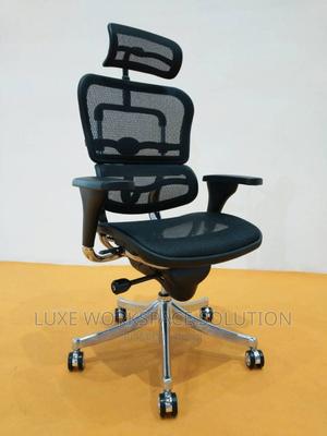Ergohuman Ergonomic High Back Office Chair