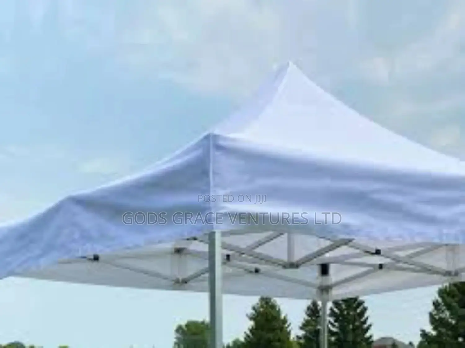 10 X 10 Foldable Canopy / Gazebo/ Tent.