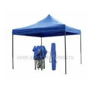 10 X 10 Foldable Canopy / Gazebo/ Tent.