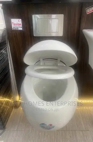 Egg Wall Hung Wc
