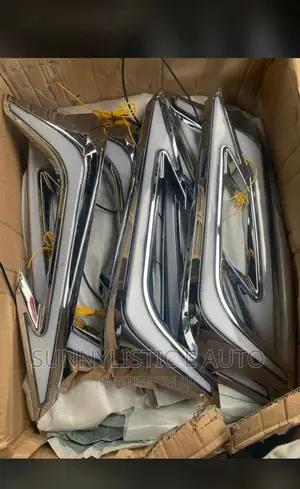 Front Bumper Light Prado