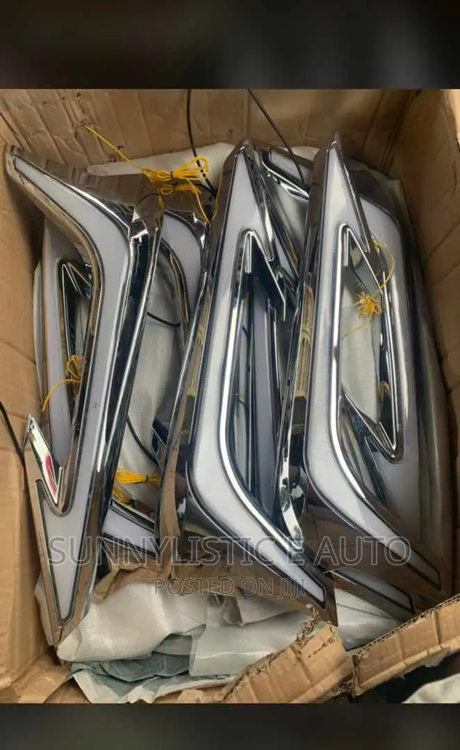 Front Bumper Light Prado