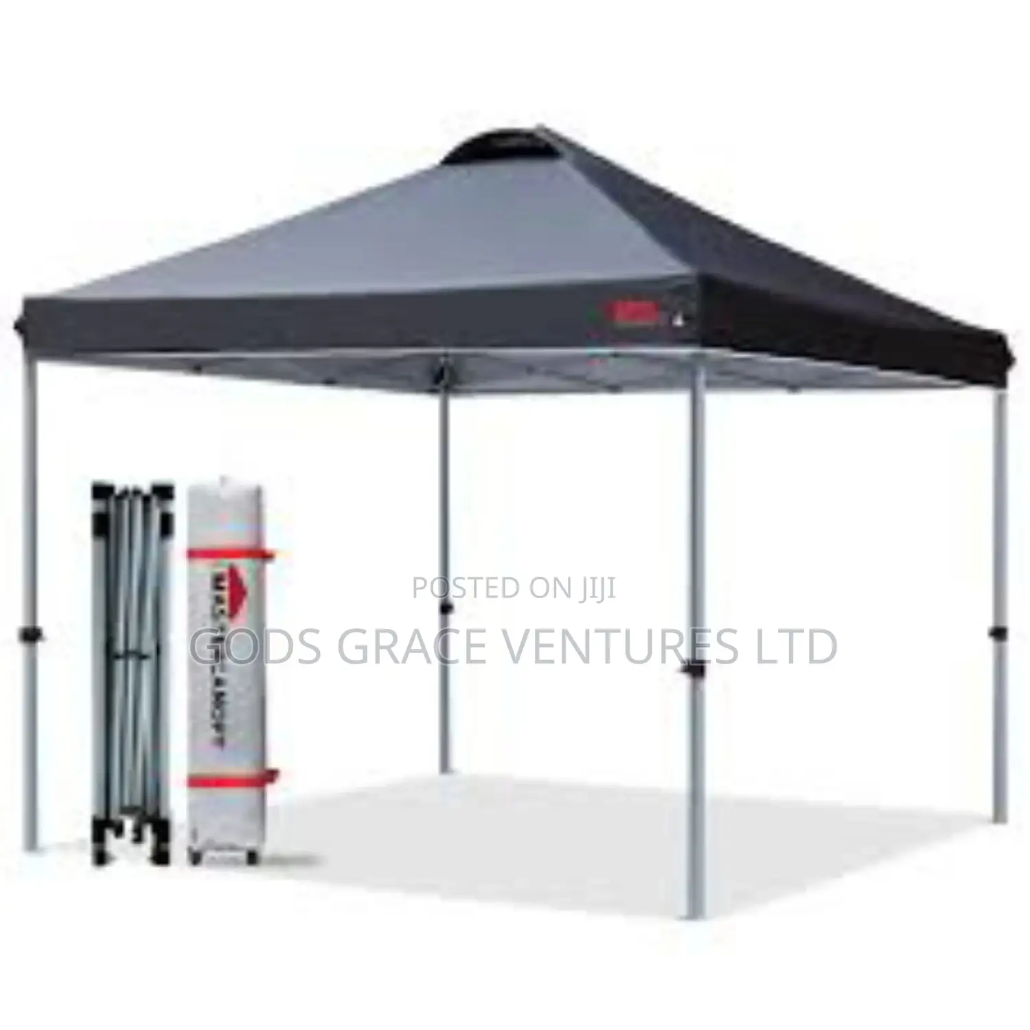 Foldable Canopy/ Gazebo 10 X 10