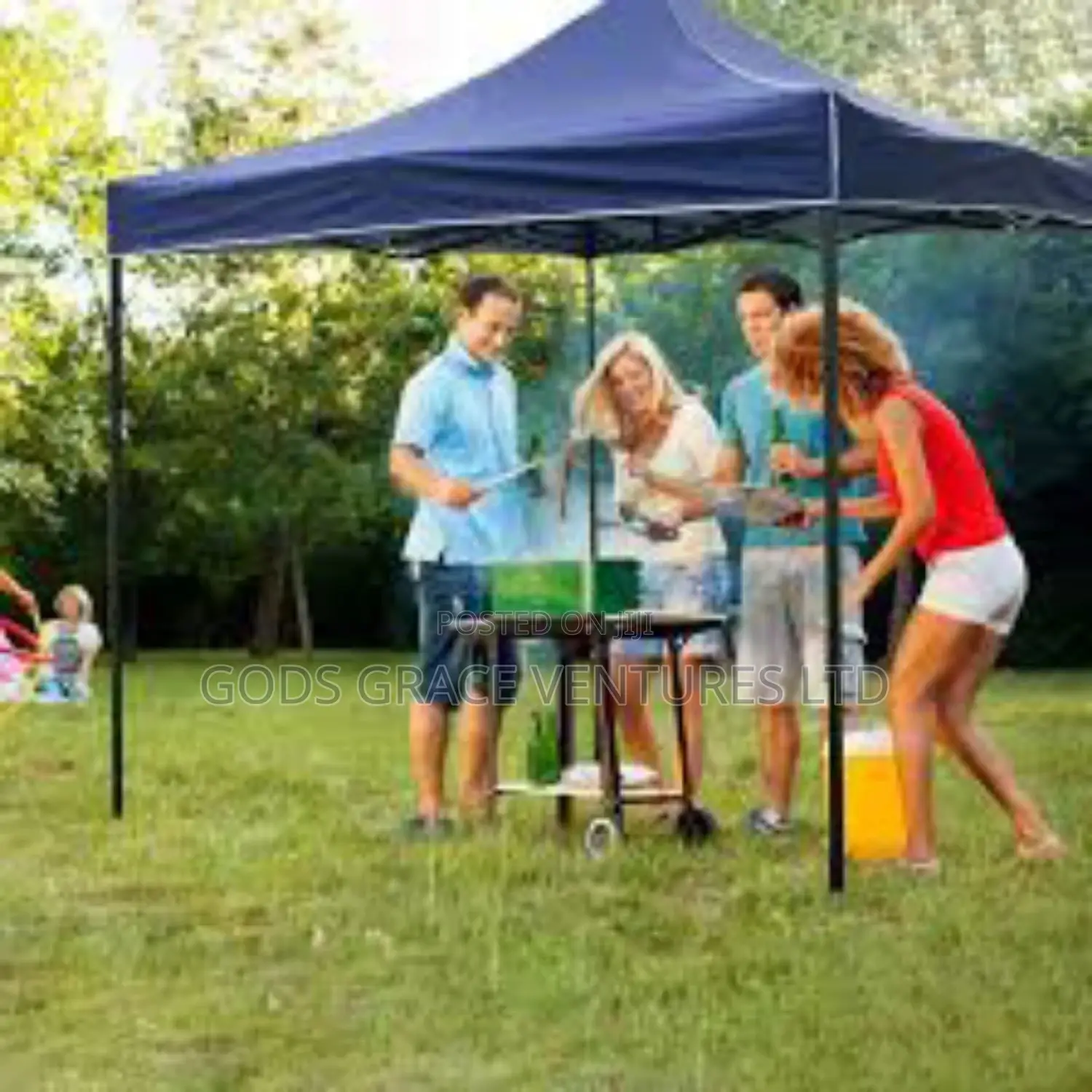 Foldable Canopy/ Gazebo 10 X 10