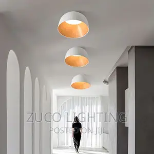 Modern Luxury Creative LED Ceiling Light