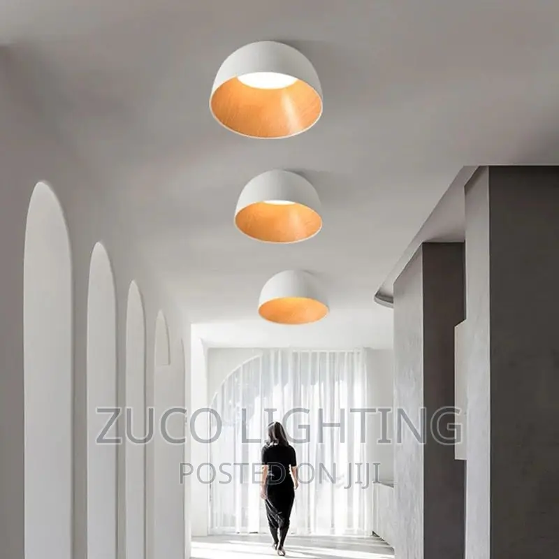 Modern Luxury Creative LED Ceiling Light