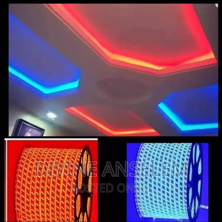 Red Blue Rope Light
